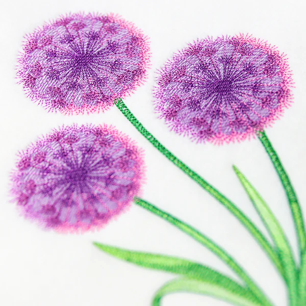 Allium Bouquet - Image 2
