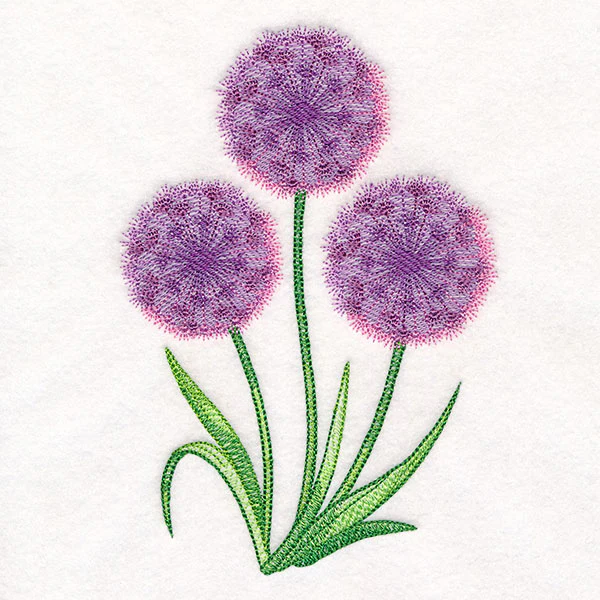 Allium Bouquet - Image 5