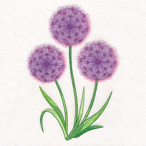 Allium Bouquet - Image 7