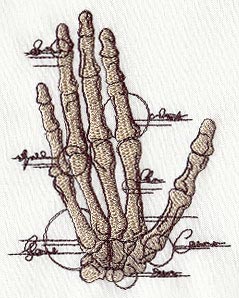 Anatomical Hand - Image 2