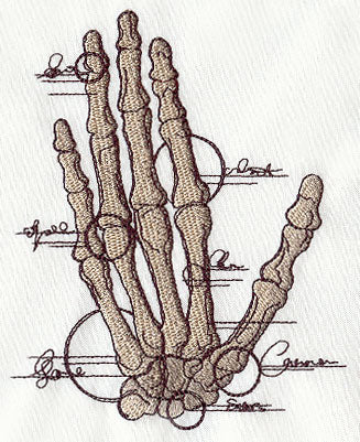 Anatomical Hand - Image 3