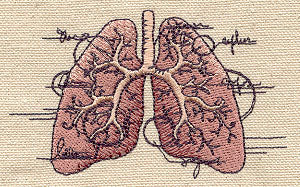 Anatomical Lungs - Image 2