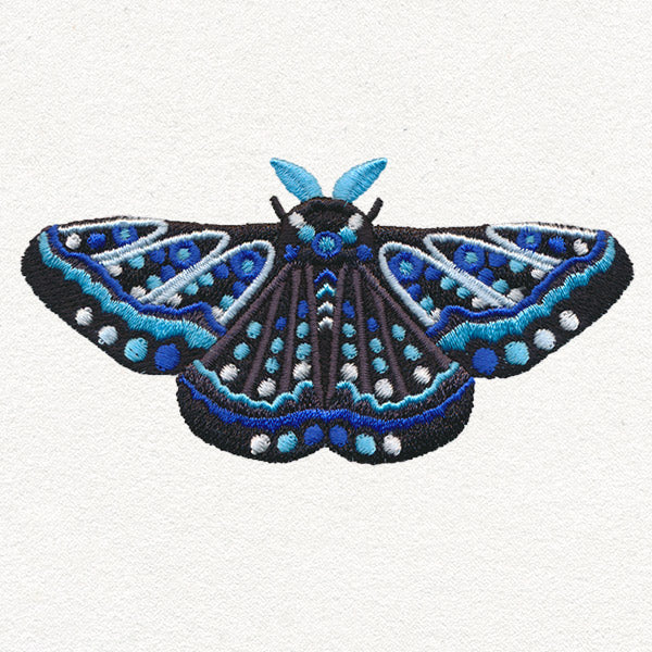 Animalia - Moth - Image 5