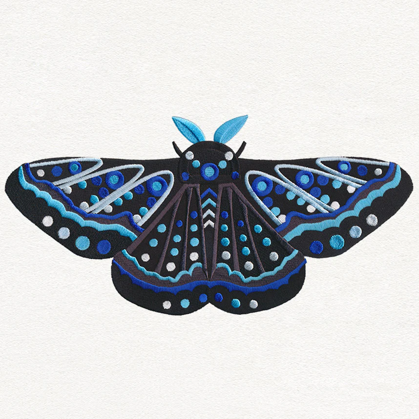Animalia - Moth - Image 6