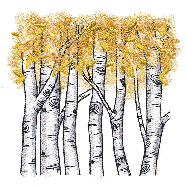 Autumn Birch Woods - Image 3