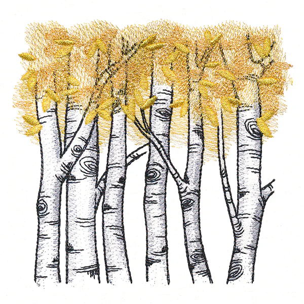 Autumn Birch Woods - Image 4