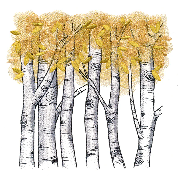 Autumn Birch Woods - Image 5