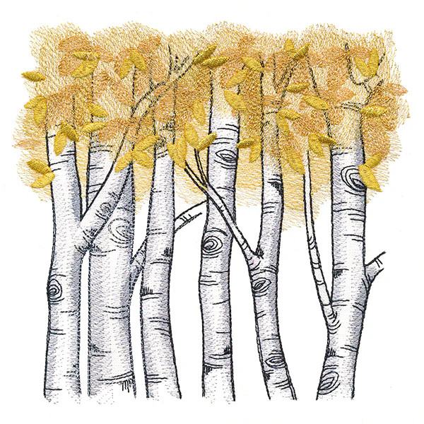 Autumn Birch Woods - Image 7