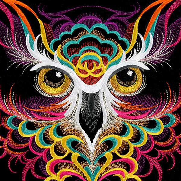 Bold Style Owl - Image 2