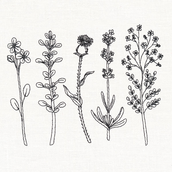 Botanical Blooms - Image 5