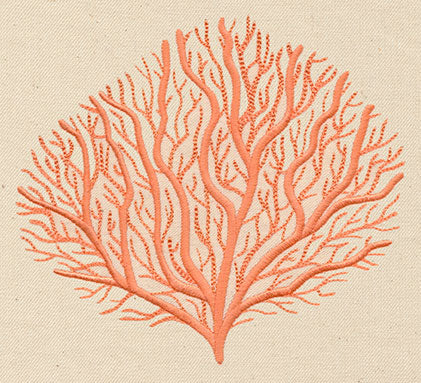 Branching Coral - Image 2