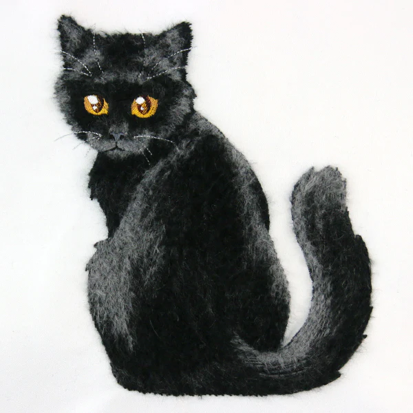 Brushed Kitten - Image 7