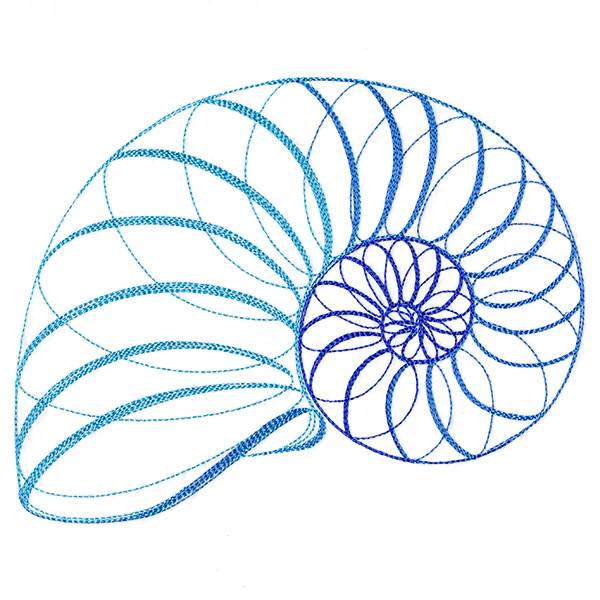 Calligraphic Seashell