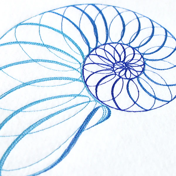 Calligraphic Seashell - Image 6