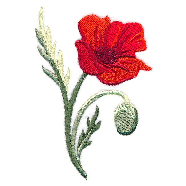 Captivating Poppy