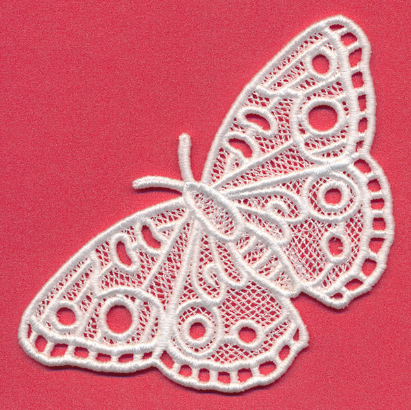 Chrysalis - Buckeye (Lace) - Image 2
