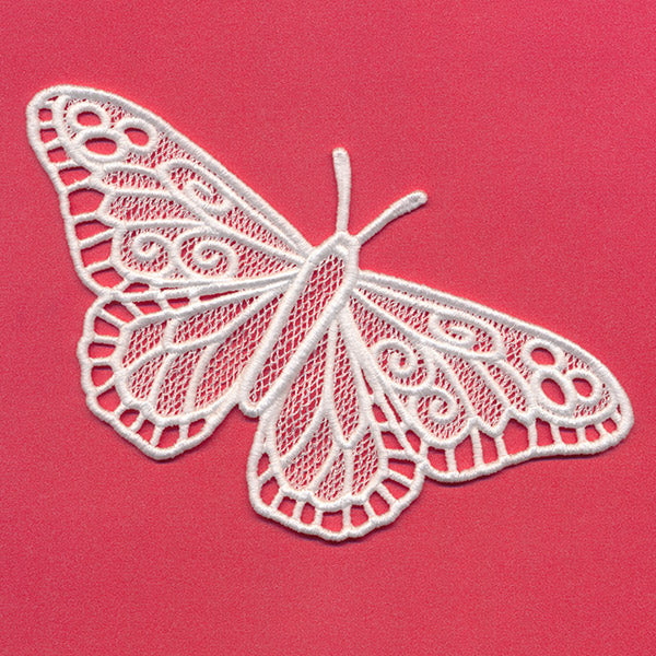 Chrysalis - Monarch (Lace) - Image 2