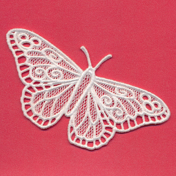Chrysalis - Monarch (Lace) - Image 4