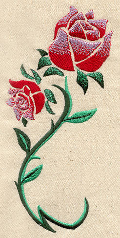 Coming Up Roses - Image 2