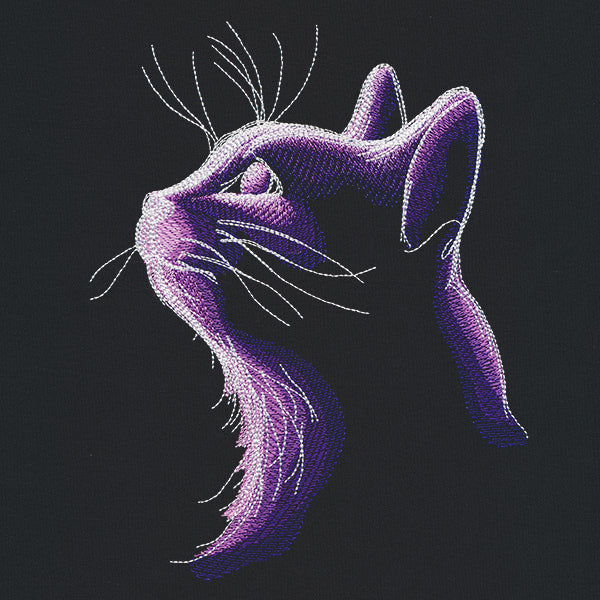 Dark Cat - Image 2