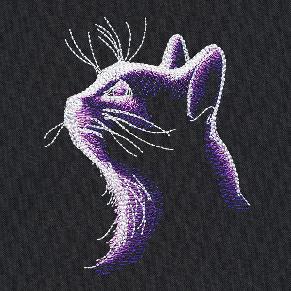 Dark Cat - Image 4