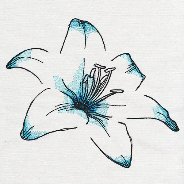 Delicate Petals