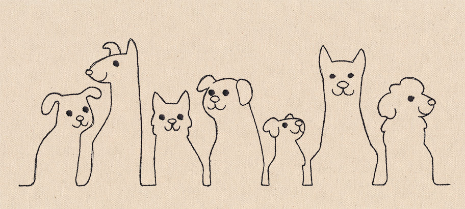 Doggery Border