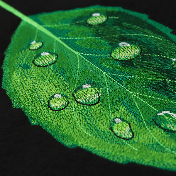 Early Morning Dew Drops Leaf - Image 2