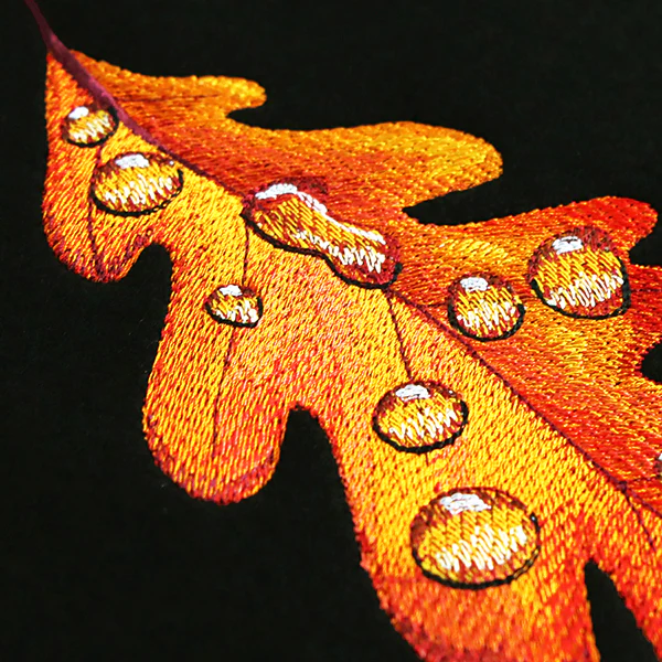 Early Morning Dew Drops Oak Leaf - Image 4