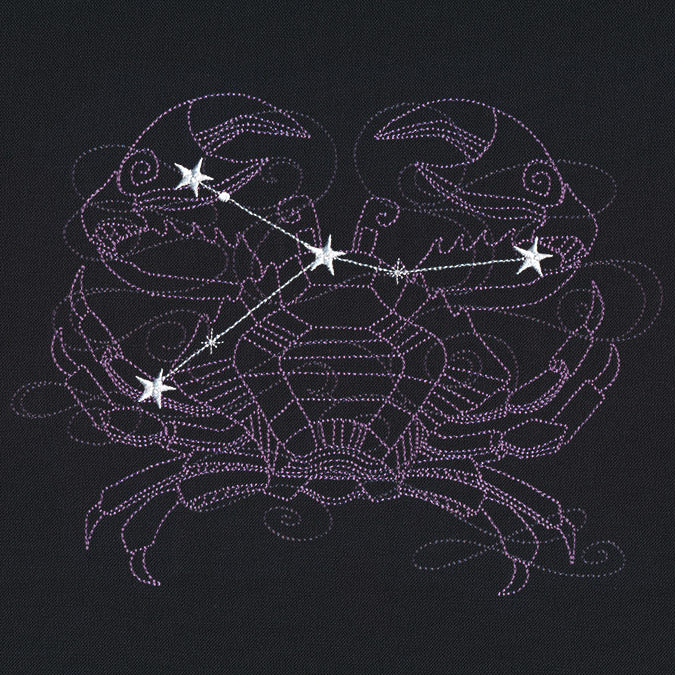 Ecliptic Constellations - Cancer - Image 5