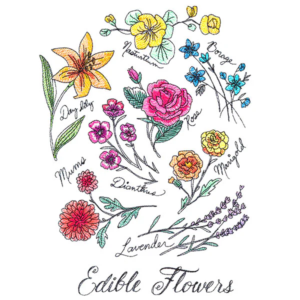 Edible Flowers - Image 4