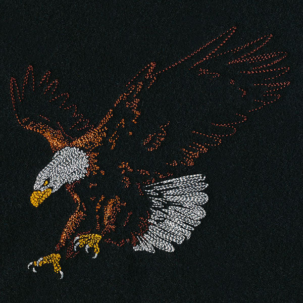 Emerging Eagle - Image 5