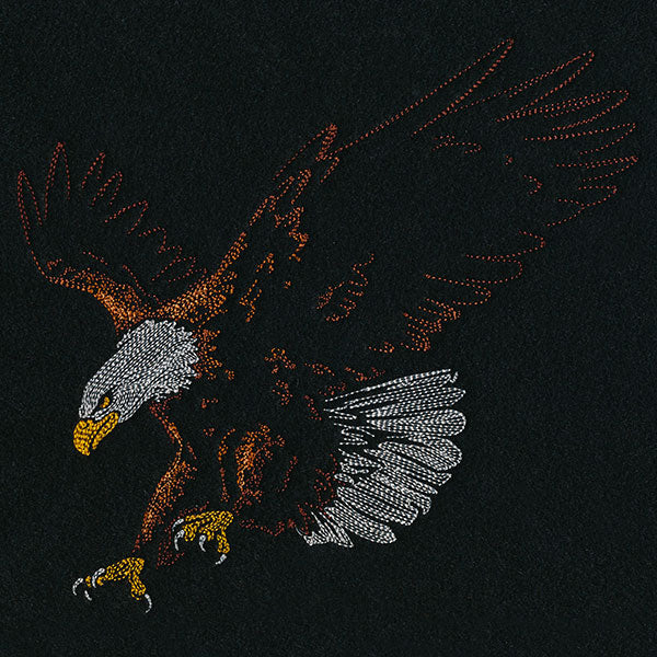 Emerging Eagle - Image 6