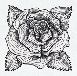 Engraved Rose - Image 3