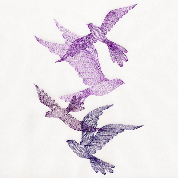 Feathered Curiosity Birds Collage