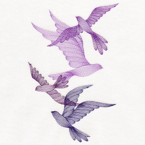 Feathered Curiosity Birds Collage - Image 2