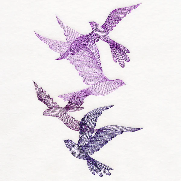 Feathered Curiosity Birds Collage - Image 3