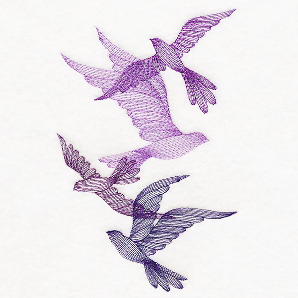 Feathered Curiosity Birds Collage - Image 4