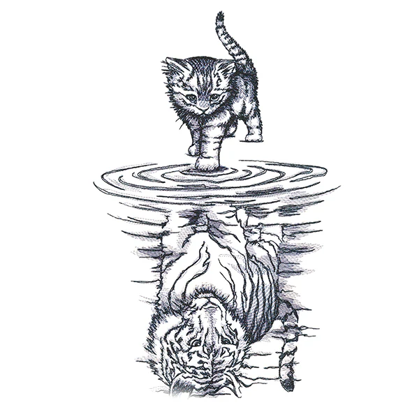 Feline Reflection