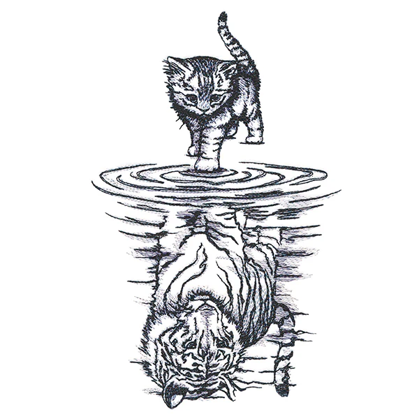 Feline Reflection - Image 5