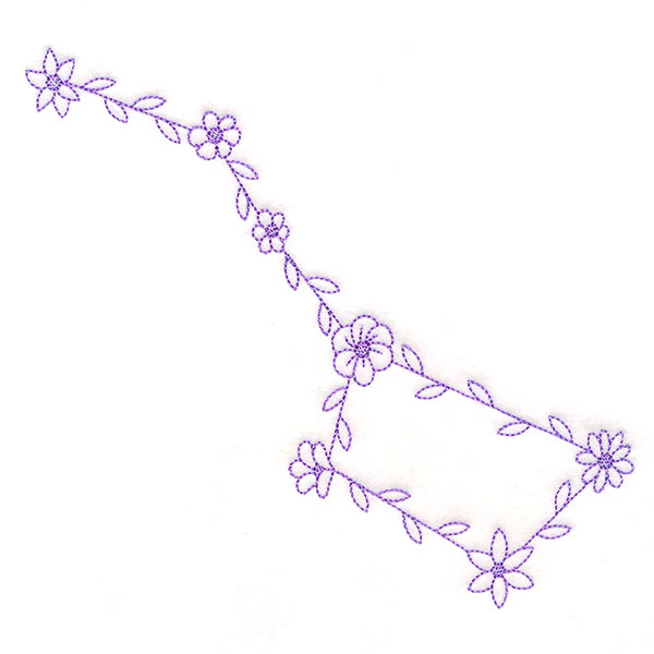 Flourishing Big Dipper - Image 5