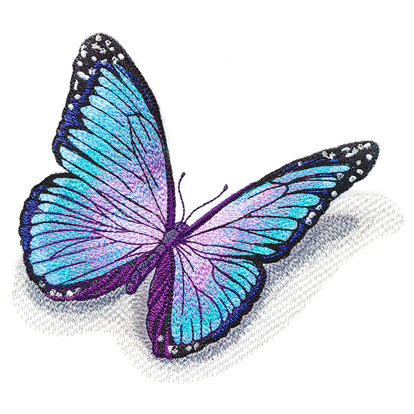 Fluttering Shadows Butterfly - Image 3