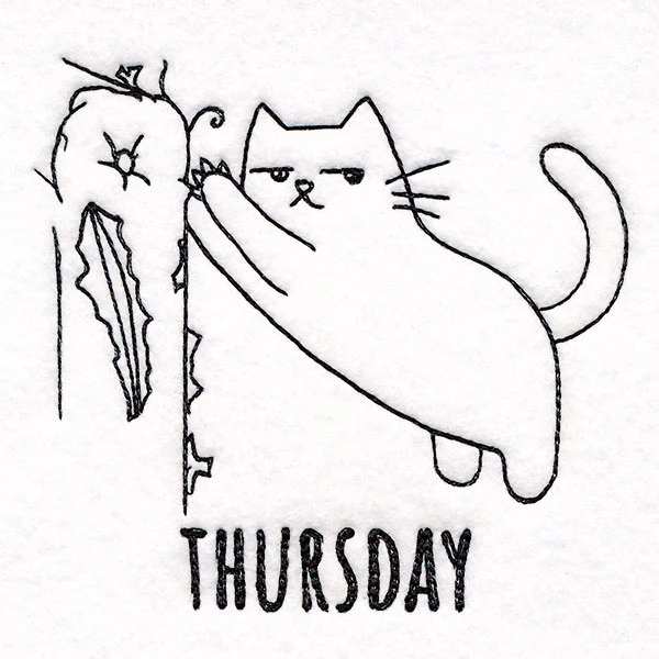 Furniture Scratching Cat on Thursday