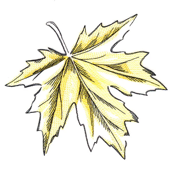 Golden Maple Leaf - Image 3