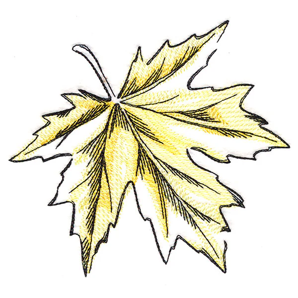 Golden Maple Leaf - Image 5