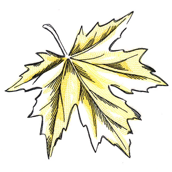 Golden Maple Leaf - Image 9
