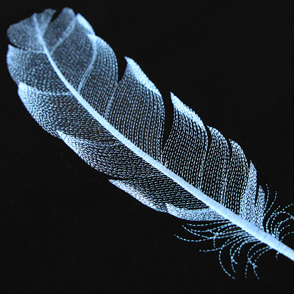 Graceful Feather - Image 8