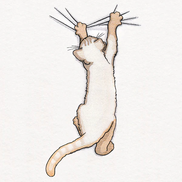 Hang in There Kitty - Image 11