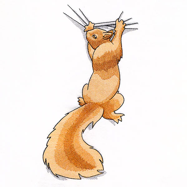 Hang in There Squirrel - Image 12
