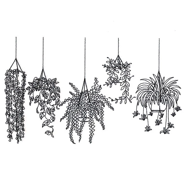 Hanging Houseplants Border